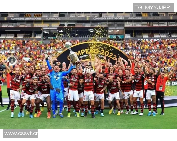 巴西球队展现统治力连续七年夺得南美解放者杯冠军荣耀 巴西球队展现统治力连续七年夺得南美解放者杯冠军荣耀